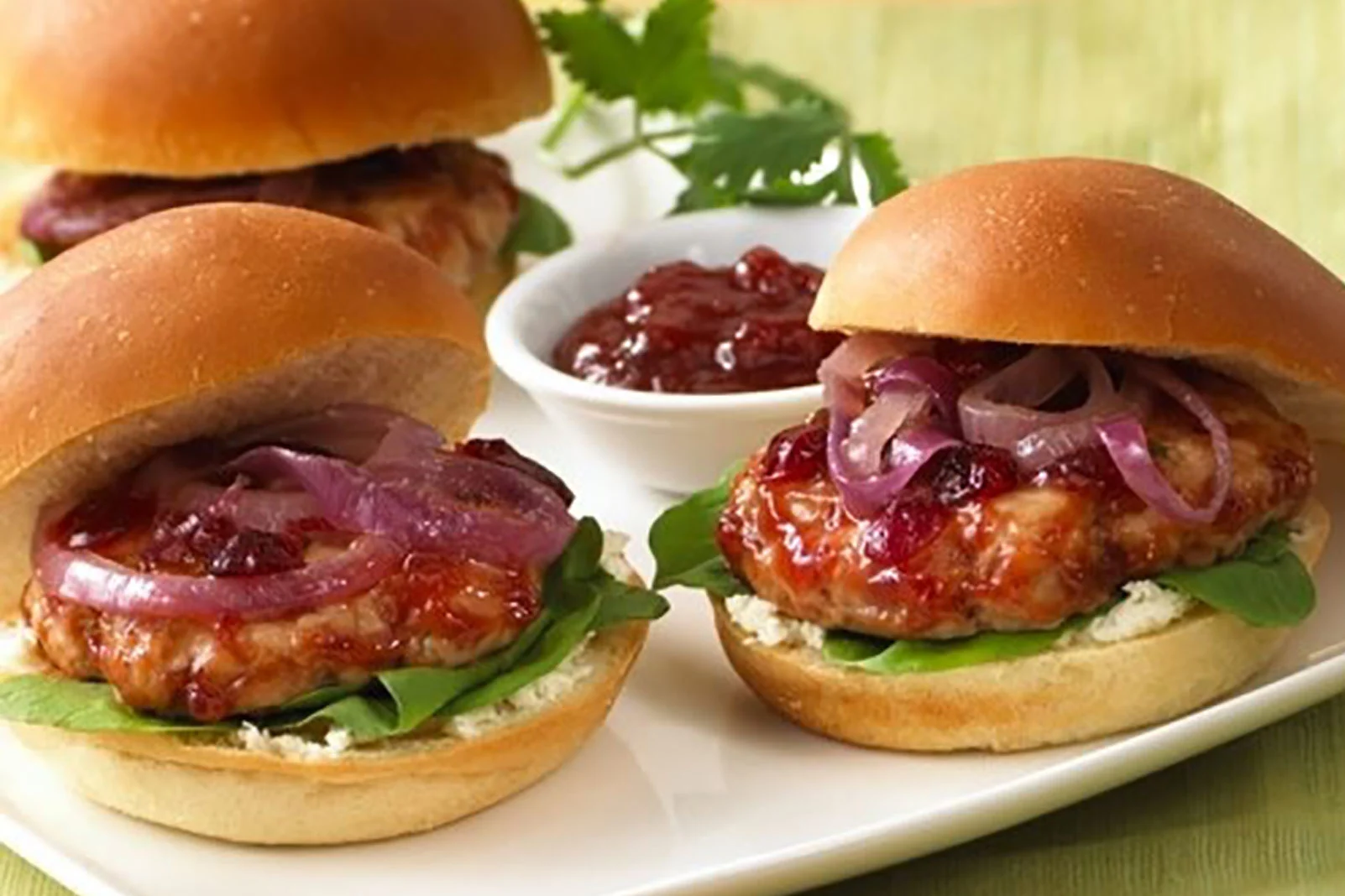 Turkey Sliders with Zesty Cranberry Ketchup